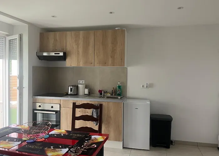 Le Petit Nouveau Avec Jardin