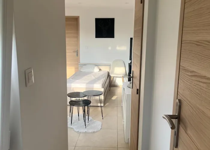 Le Petit Nouveau Avec Jardin